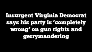 Insurgent Virginia Democrat says his party is ‘completely wrong’ on gun rights and gerrymandering