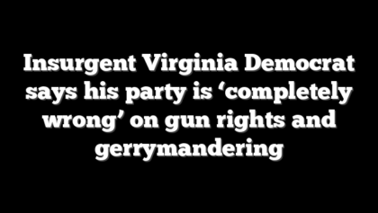 Insurgent Virginia Democrat says his party is ‘completely wrong’ on gun rights and gerrymandering