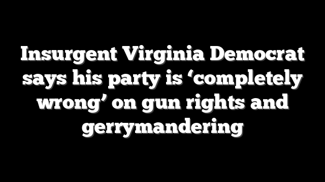 Insurgent Virginia Democrat says his party is ‘completely wrong’ on gun rights and gerrymandering
