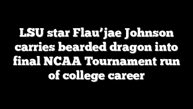 LSU star Flau’jae Johnson carries bearded dragon into final NCAA Tournament run of college career
