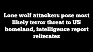 Lone wolf attackers pose most likely terror threat to US homeland, intelligence report reiterates