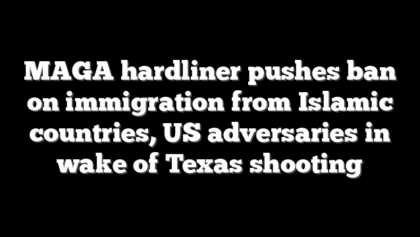 MAGA hardliner pushes ban on immigration from Islamic countries, US adversaries in wake of Texas shooting