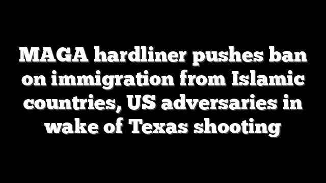 MAGA hardliner pushes ban on immigration from Islamic countries, US adversaries in wake of Texas shooting