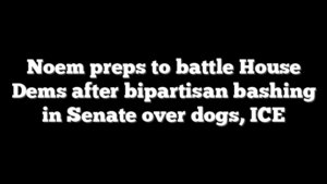 Noem preps to battle House Dems after bipartisan bashing in Senate over dogs, ICE