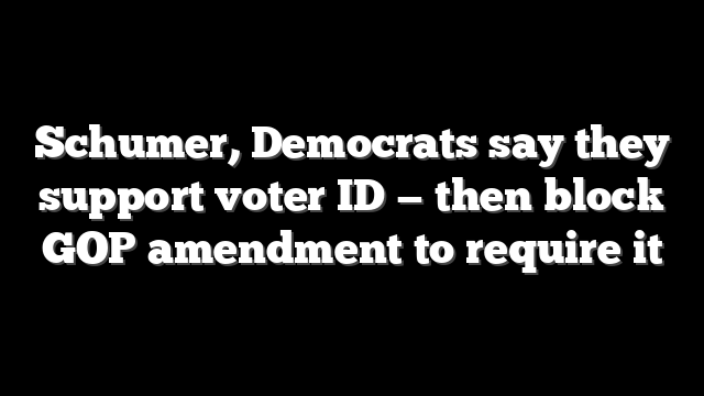 Schumer, Democrats say they support voter ID — then block GOP amendment to require it