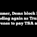 Schumer, Dems block DHS funding again as Trump intervenes to pay TSA agents