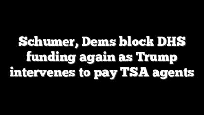 Schumer, Dems block DHS funding again as Trump intervenes to pay TSA agents