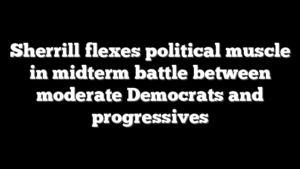 Sherrill flexes political muscle in midterm battle between moderate Democrats and progressives