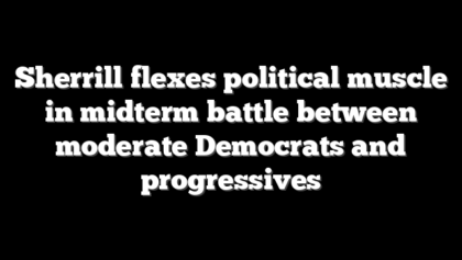 Sherrill flexes political muscle in midterm battle between moderate Democrats and progressives