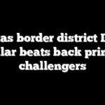 Texas border district Dem Cuellar beats back primary challengers