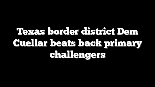 Texas border district Dem Cuellar beats back primary challengers