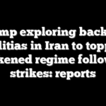Trump exploring backing militias in Iran to topple weakened regime following strikes: reports