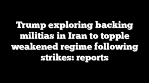 Trump exploring backing militias in Iran to topple weakened regime following strikes: reports