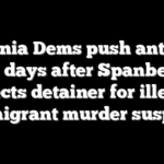 Virginia Dems push anti-ICE bills days after Spanberger rejects detainer for illegal immigrant murder suspect