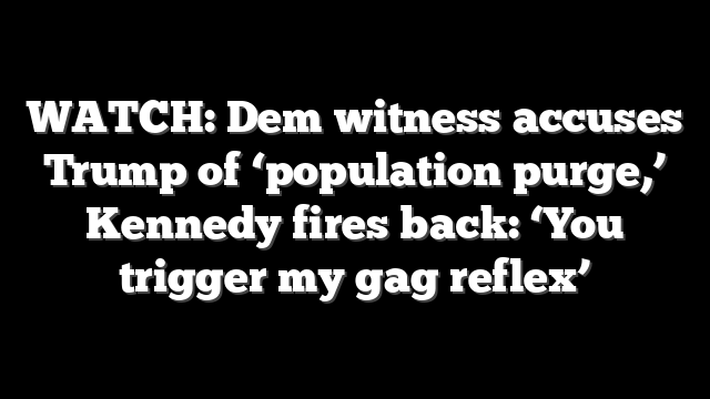 WATCH: Dem witness accuses Trump of ‘population purge,’ Kennedy fires back: ‘You trigger my gag reflex’