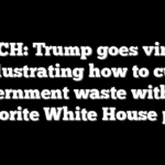 WATCH: Trump goes viral for illustrating how to cut government waste with his favorite White House pen