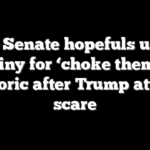 Dem Senate hopefuls under scrutiny for ‘choke them out’ rhetoric after Trump attack scare