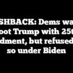 FLASHBACK: Dems want to boot Trump with 25th amendment, but refused to do so under Biden