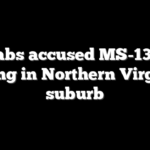 ICE nabs accused MS-13 killer hiding in Northern Virginia suburb
