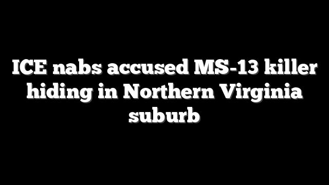 ICE nabs accused MS-13 killer hiding in Northern Virginia suburb