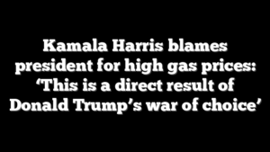 Kamala Harris blames president for high gas prices: ‘This is a direct result of Donald Trump’s war of choice’