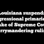 Louisiana suspends congressional primaries in wake of Supreme Court gerrymandering ruling