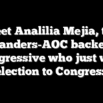 Meet Analilia Mejia, the Sanders-AOC backed progressive who just won election to Congress