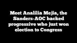 Meet Analilia Mejia, the Sanders-AOC backed progressive who just won election to Congress