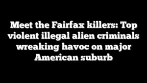 Meet the Fairfax killers: Top violent illegal alien criminals wreaking havoc on major American suburb