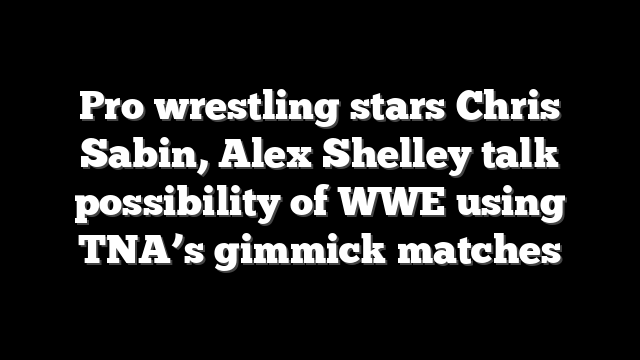 Pro wrestling stars Chris Sabin, Alex Shelley talk possibility of WWE using TNA’s gimmick matches