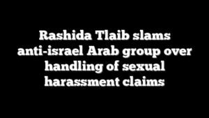 Rashida Tlaib slams anti-israel Arab group over handling of sexual harassment claims