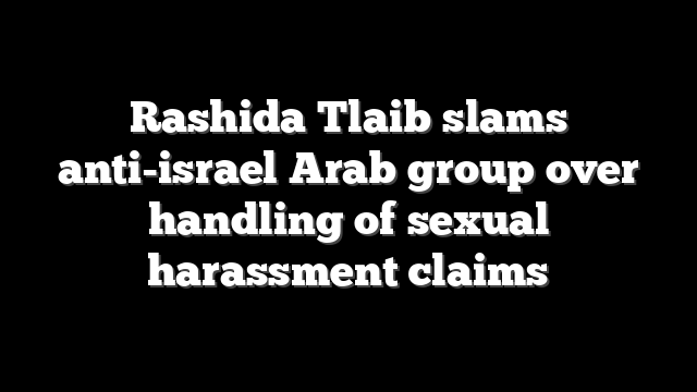Rashida Tlaib slams anti-israel Arab group over handling of sexual harassment claims
