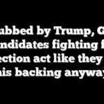 Snubbed by Trump, GOP candidates fighting for re-election act like they have his backing anyway