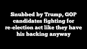 Snubbed by Trump, GOP candidates fighting for re-election act like they have his backing anyway