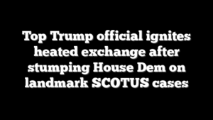 Top Trump official ignites heated exchange after stumping House Dem on landmark SCOTUS cases