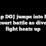 Trump DOJ jumps into Musk xAI court battle as diversity fight heats up
