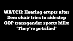 WATCH: Hearing erupts after Dem chair tries to sidestep GOP transgender sports bills: ‘They’re petrified’