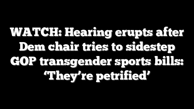 WATCH: Hearing erupts after Dem chair tries to sidestep GOP transgender sports bills: ‘They’re petrified’