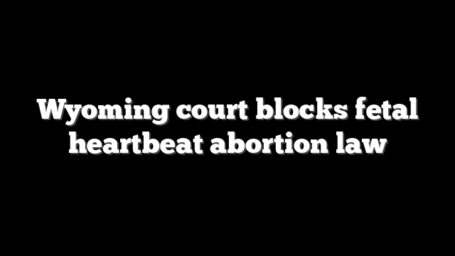Wyoming court blocks fetal heartbeat abortion law