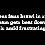 Yankees fans brawl in stands as team gets beat down by Angels amid frustrating skid