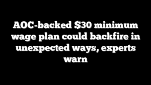 AOC-backed $30 minimum wage plan could backfire in unexpected ways, experts warn