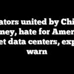 Agitators united by Chinese money, hate for America target data centers, experts warn