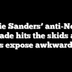 Bernie Sanders’ anti-Netflix crusade hits the skids after filings expose awkward twist