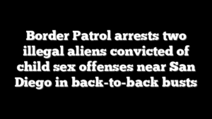 Border Patrol arrests two illegal aliens convicted of child sex offenses near San Diego in back-to-back busts