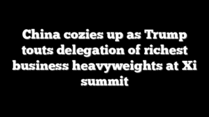 China cozies up as Trump touts delegation of richest business heavyweights at Xi summit