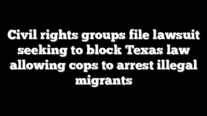 Civil rights groups file lawsuit seeking to block Texas law allowing cops to arrest illegal migrants