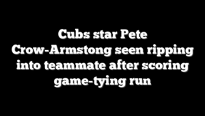 Cubs star Pete Crow-Armstong seen ripping into teammate after scoring game-tying run