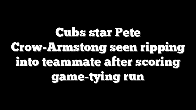 Cubs star Pete Crow-Armstong seen ripping into teammate after scoring game-tying run