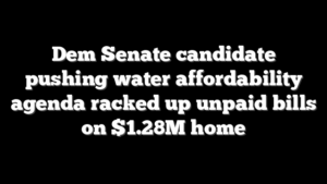 Dem Senate candidate pushing water affordability agenda racked up unpaid bills on $1.28M home