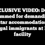 EXCLUSIVE VIDEO: Dems slammed for demanding ‘five-star accommodations’ for illegal immigrants at ICE facility
